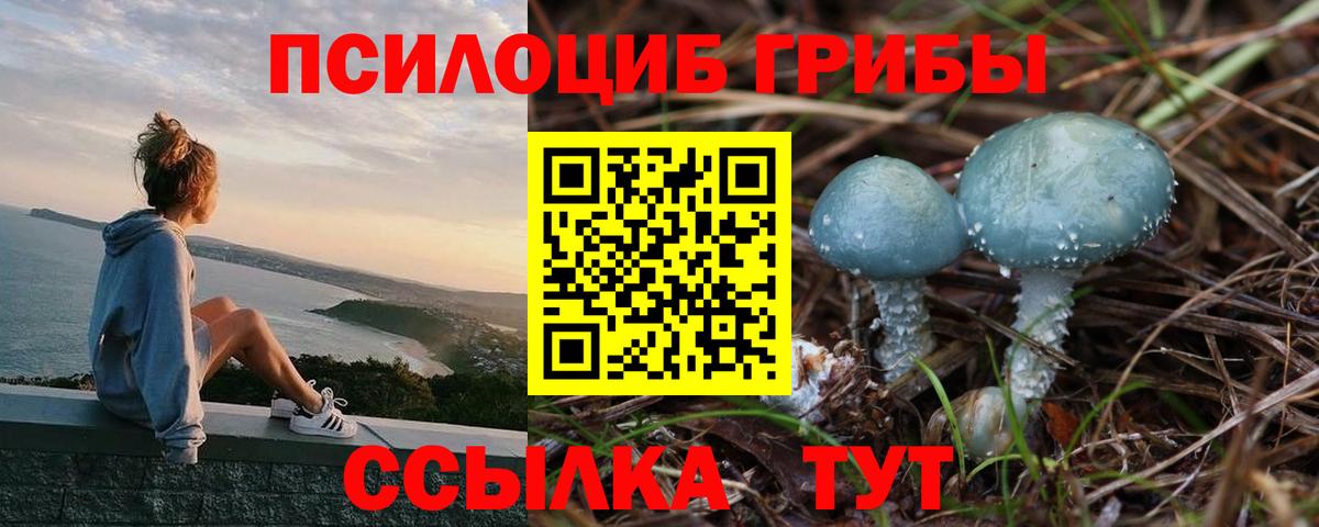 Галлюциногенные грибы Magic Shrooms  Вход с VPN  Великий Устюг 
